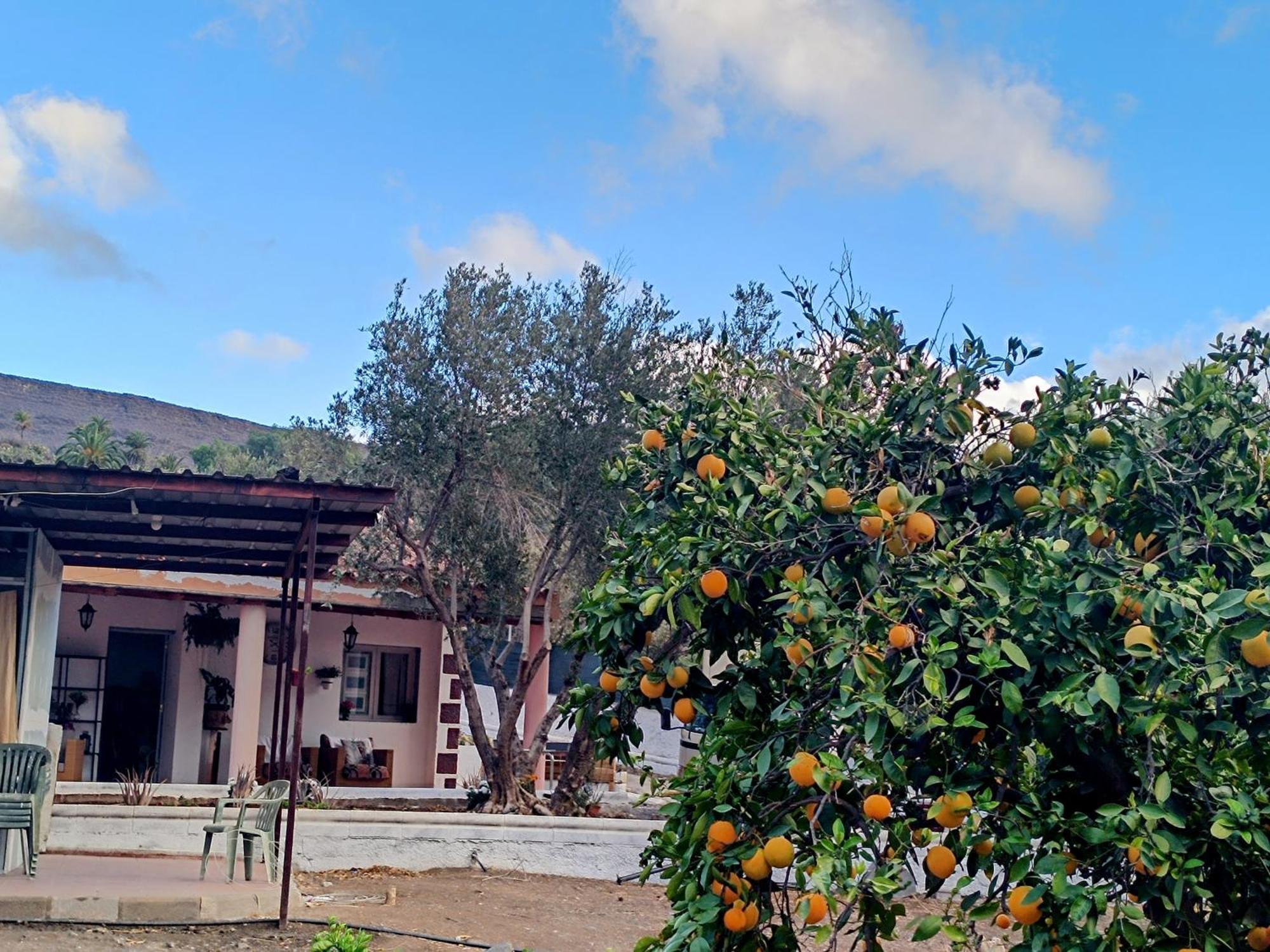 La Casa De La Pradera Villa Santa Lucía Exterior foto